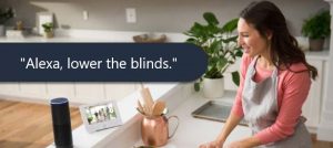 Voice Activated Window Blinds