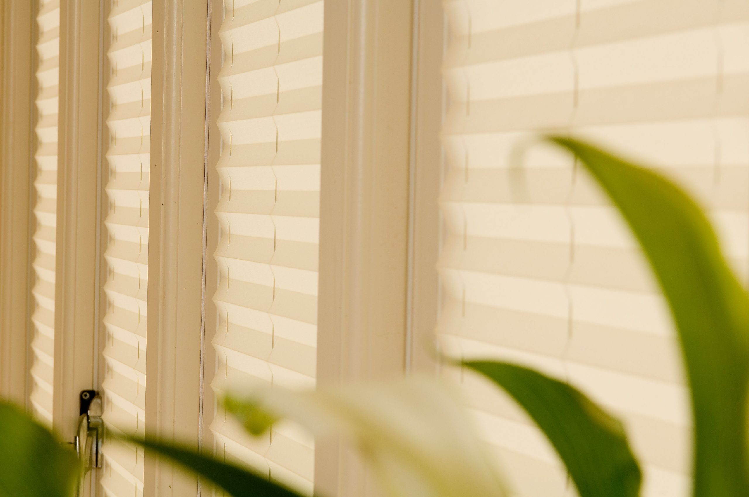 Pleated Blinds Bespoke