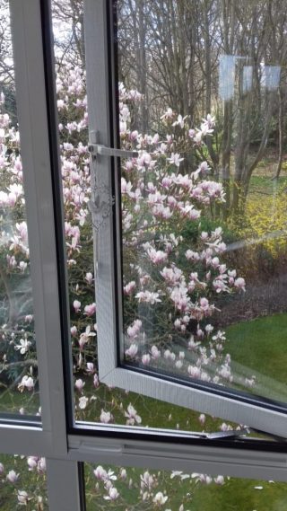 Bug screen for windows