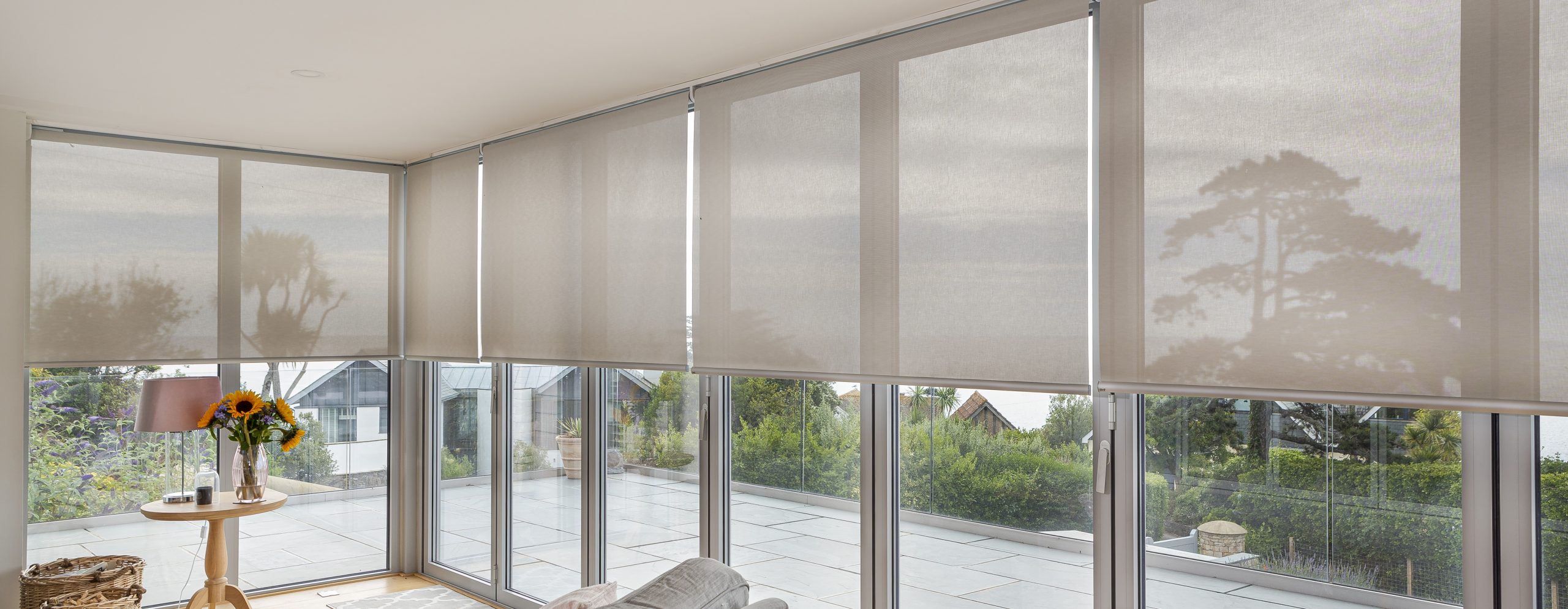 Window & Door Blinds
