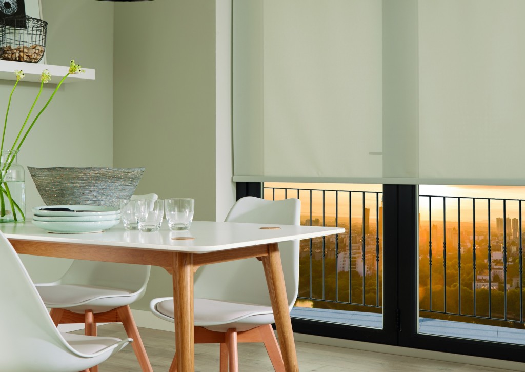door blinds appeal